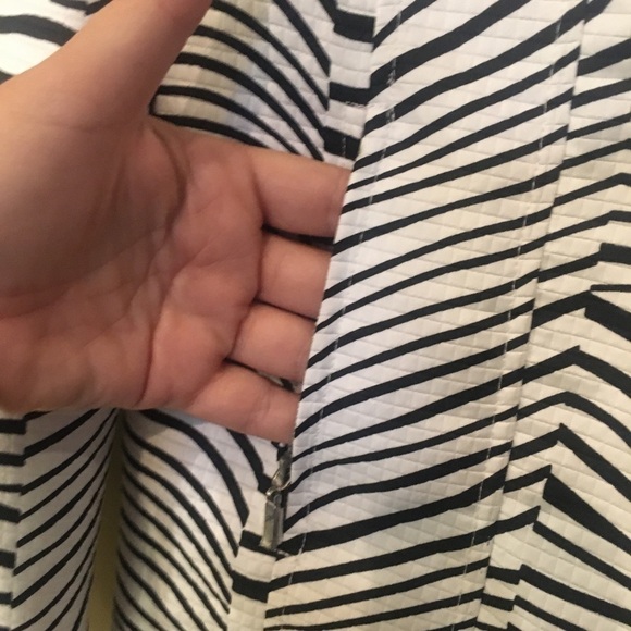 Erin London Zebra Jacket - Picture 2 of 5